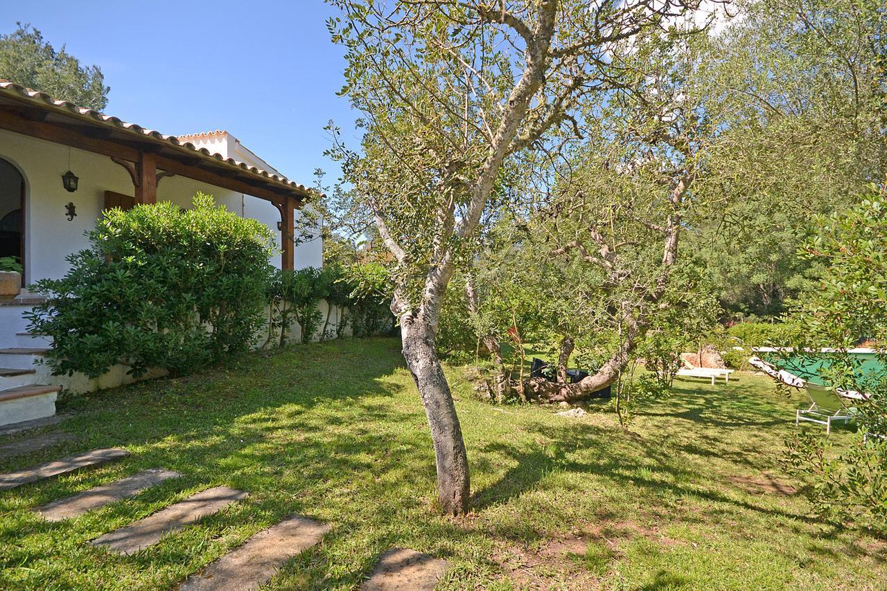 Spiros Holiday home Alcudia (Mallorca)